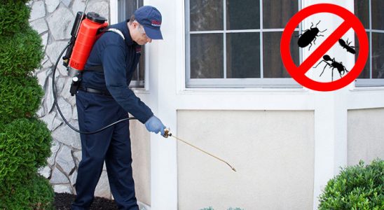 Sarayköy Böcek ve Haşere İlaçlama böcek ilaçlama ve haşere kontrolü — ilaclama-tr.com
